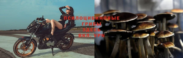 винт Дмитровск