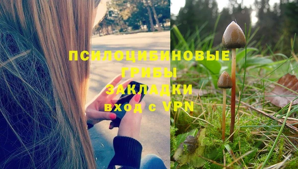 a pvp Гусев