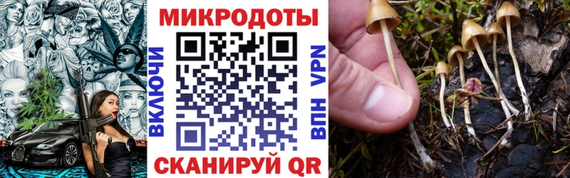 Галлюциногенные грибы прущие грибы  Купить где  Ермолино 